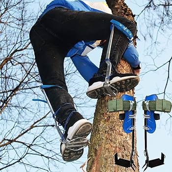 Amazon.com : wzfdm Tree Climbing Spikes Non-Slip Tree